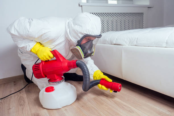 Best Spider Control Near Me  in Bedminster, NJ