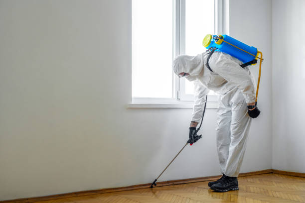 Best Wasp Removal Services  in Bedminster, NJ