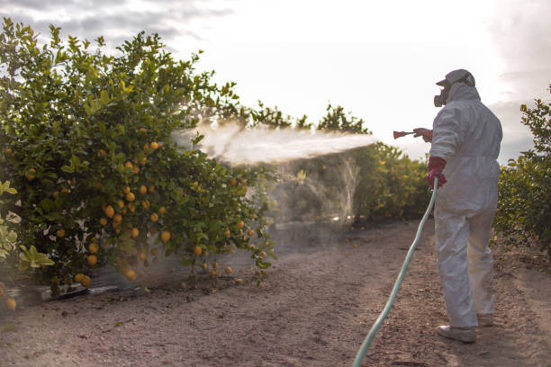 Best Pest Control Near Me  in Bedminster, NJ