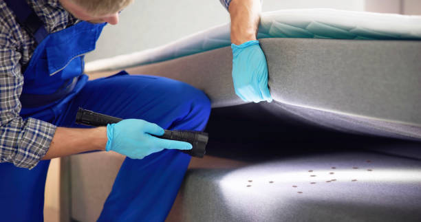 Best Local Pest Control Services  in Bedminster, NJ