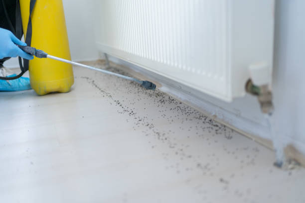 Best Pest Prevention Services  in Bedminster, NJ