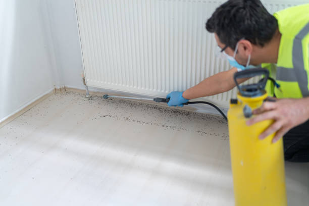 Best Termite Control Services  in Bedminster, NJ